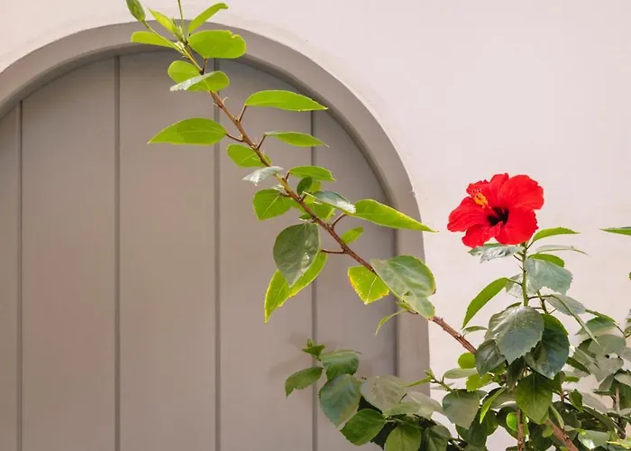 Simple House Mykonos Sunset Апартаменты