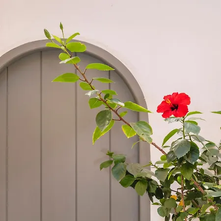 Simple House Mykonos Sunset Apartman